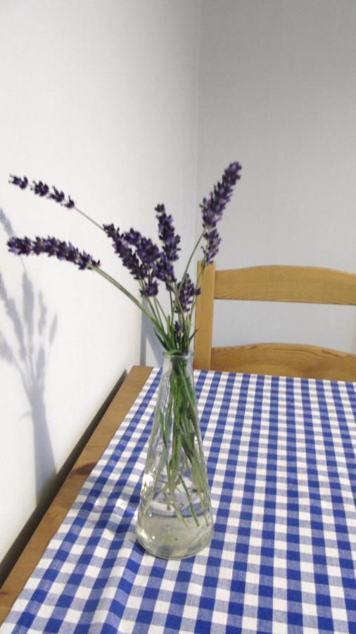 Apartament Aleksander Ciechocinek Kültér fotó